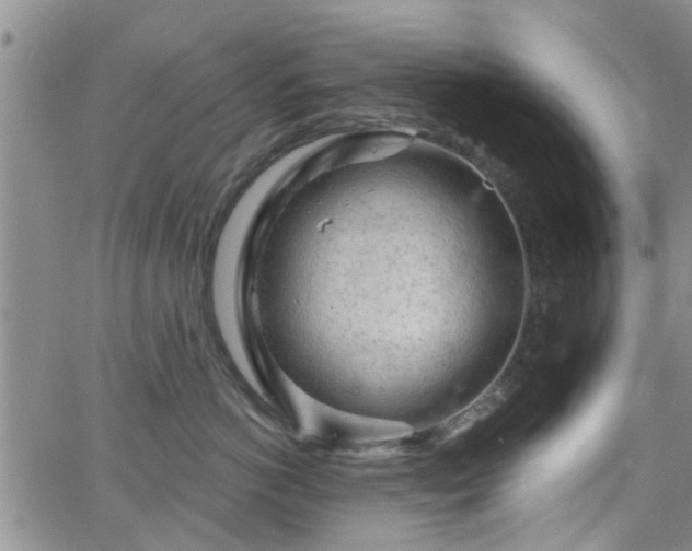 X0000063480766200601231347