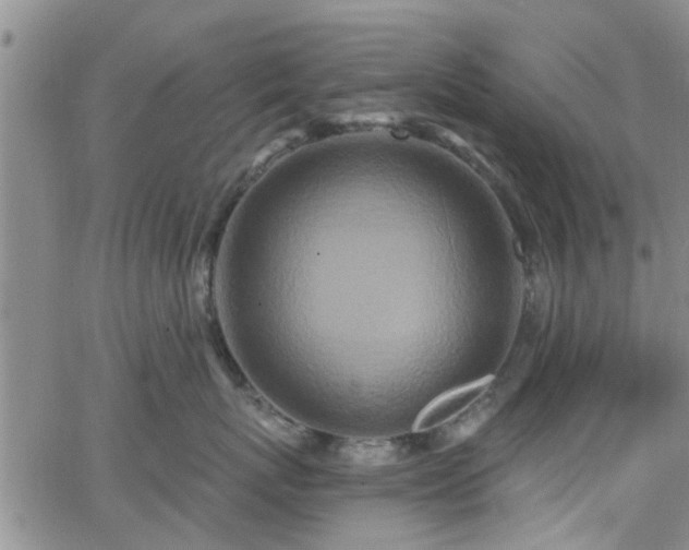 X0000063480767200601231347