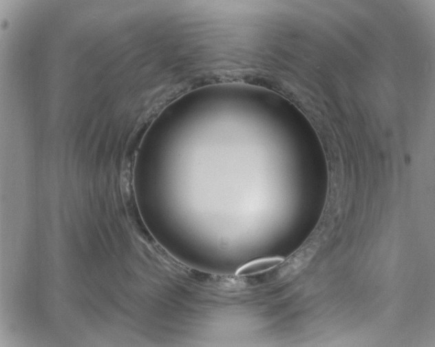 X0000063480768200601231347