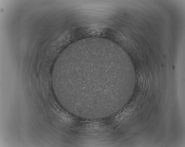 X0000063480769200601231346