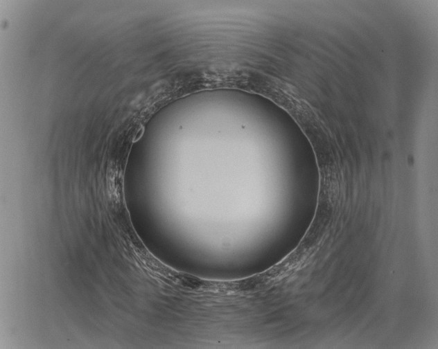 X0000063480770200601231346