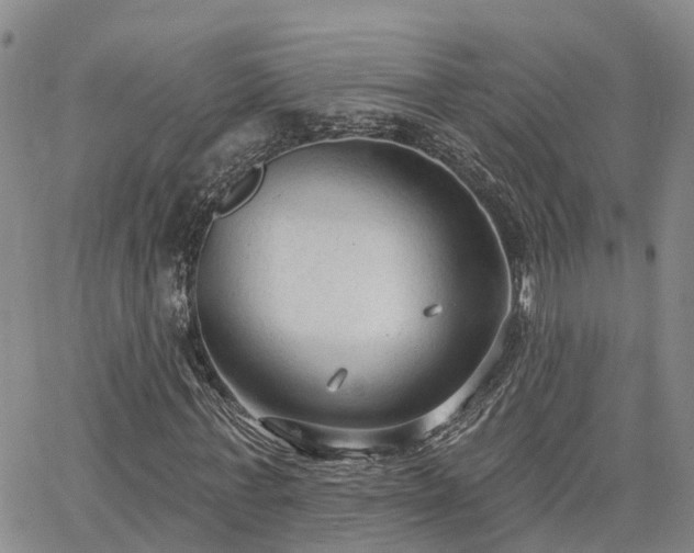 X0000063480771200601231346