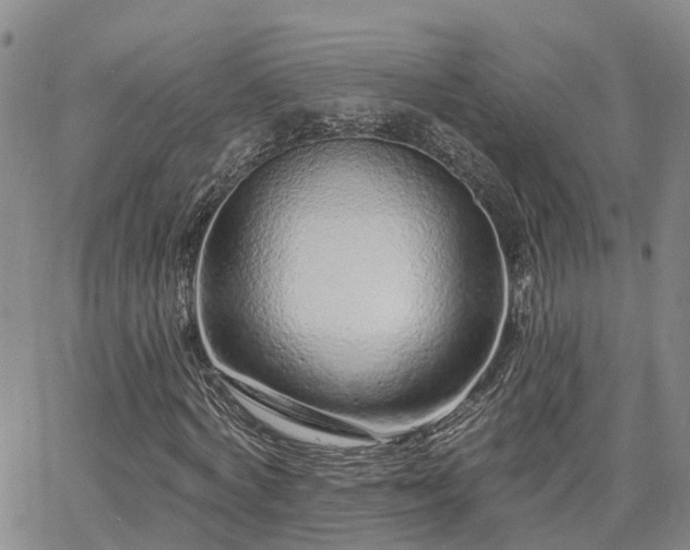 X0000063480772200601231346