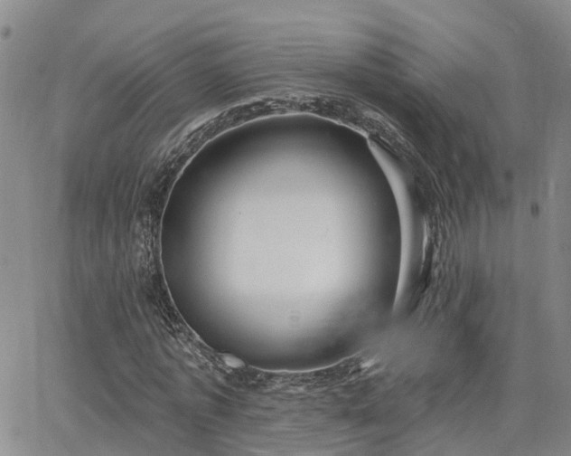 X0000063480773200601231346