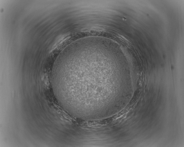 X0000063480774200601231346