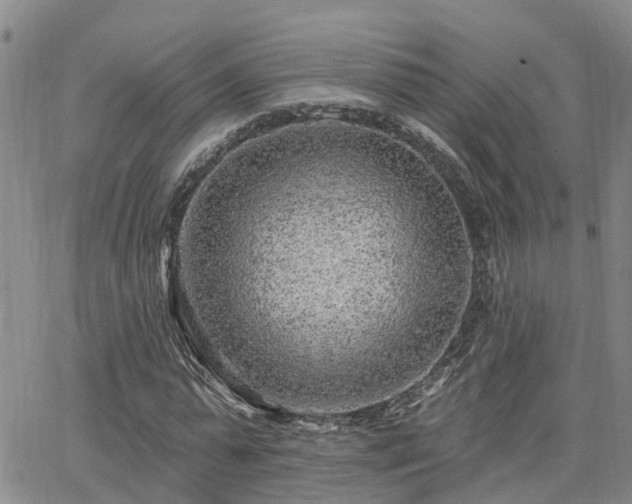 X0000063480775200601231346