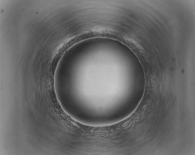 X0000063480776200601231346