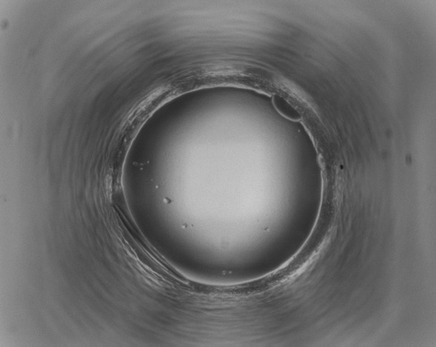 X0000063480777200601231346