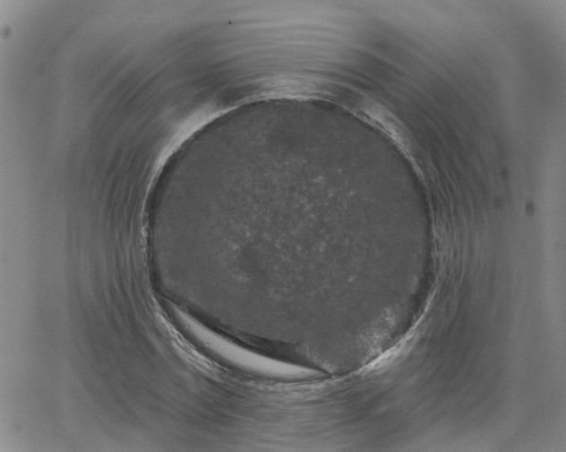 X0000063480779200601231346