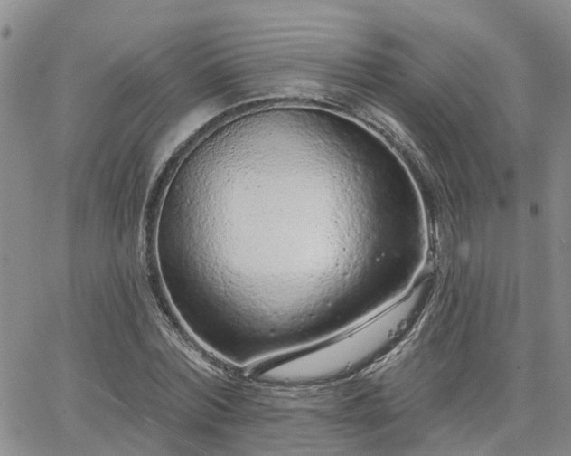 X0000063480780200601231346