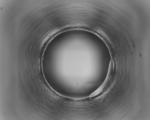 X0000063480781200601231346