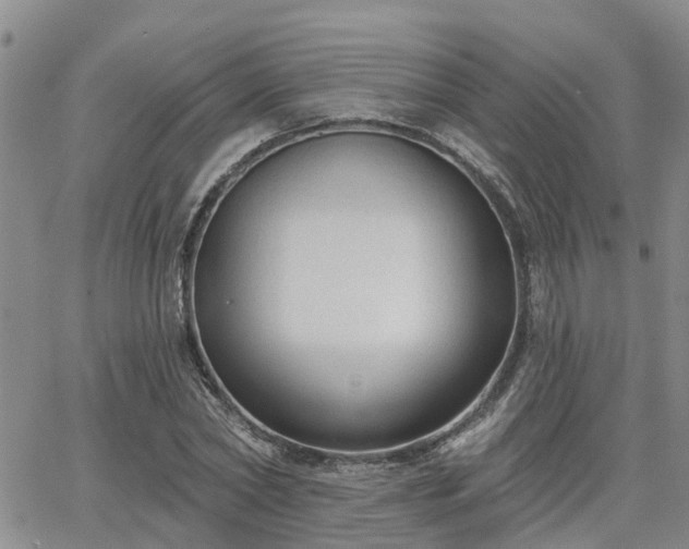 X0000063480782200601231346