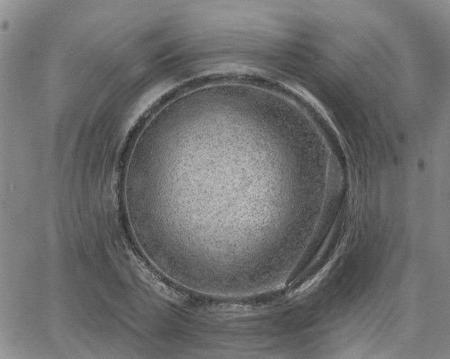 X0000063480783200601231346