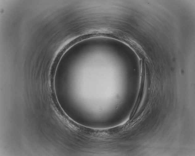 X0000063480784200601231346