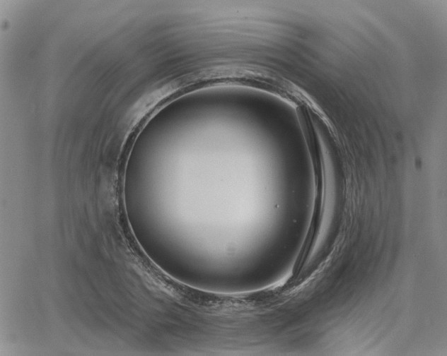 X0000063480786200601231346