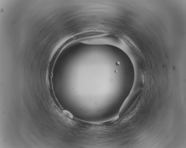 X0000063480788200601231346