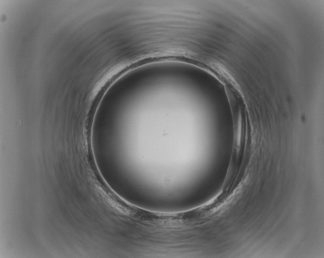 X0000063480789200601231346