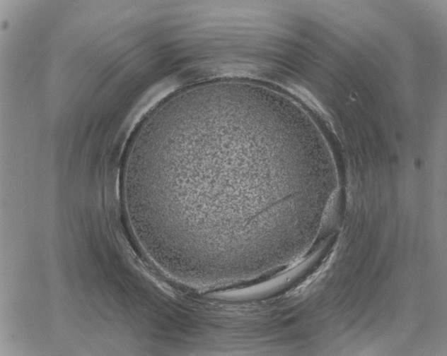 X0000063480790200601231346