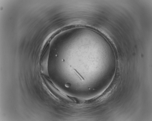 X0000063480791200601231345