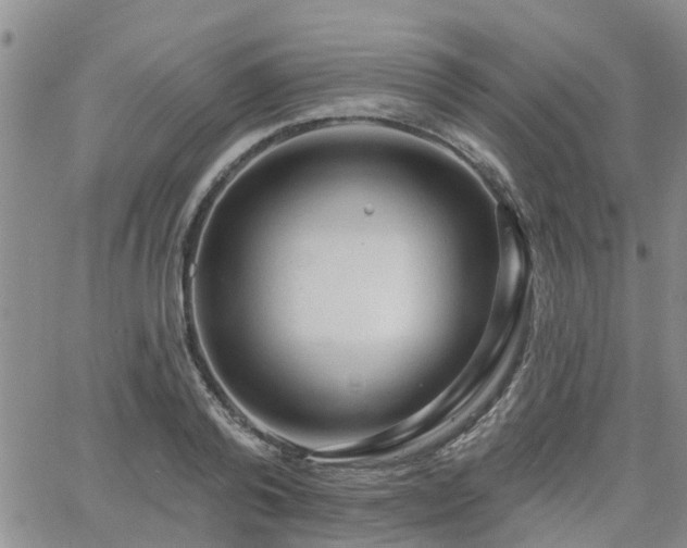 X0000063480792200601231345