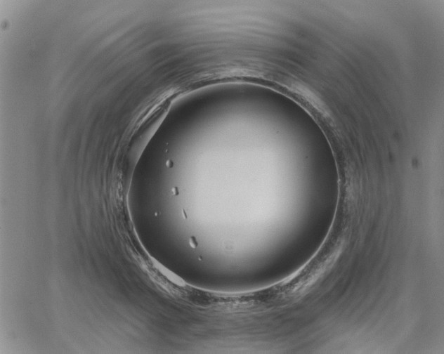 X0000063480793200601231345