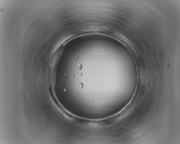 X0000063480794200601231345