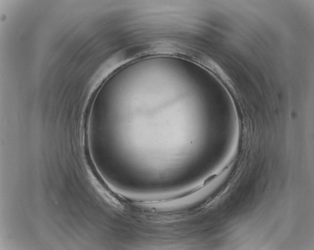 X0000063480795200601231345