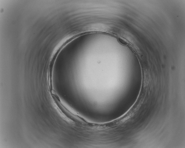 X0000063480796200601231345