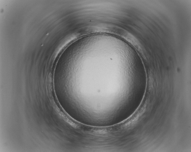 X0000063480798200601231345