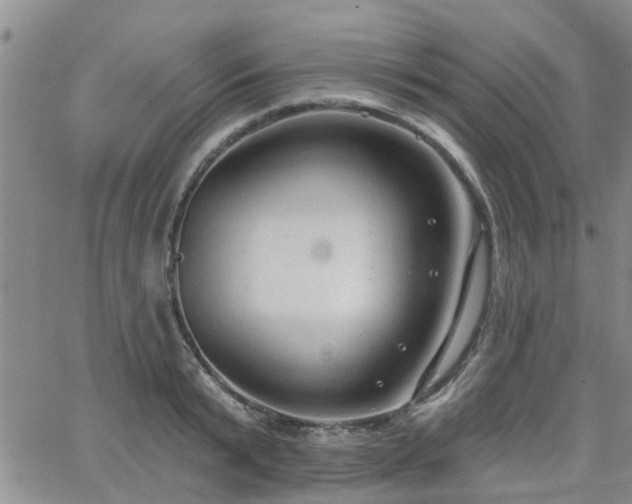 X0000063480799200601231345