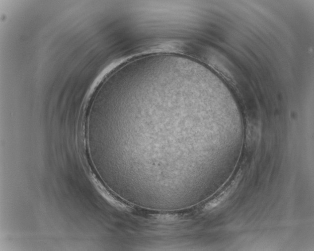 X0000063480800200601231345