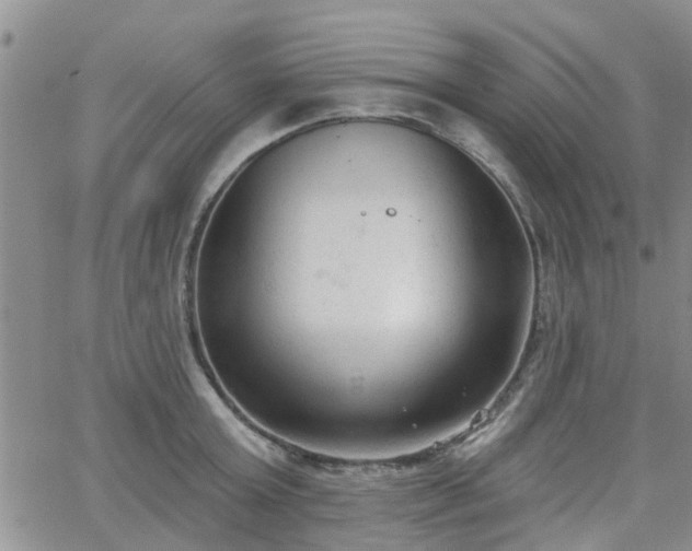 X0000063480803200601231345