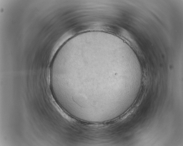 X0000063480804200601231345