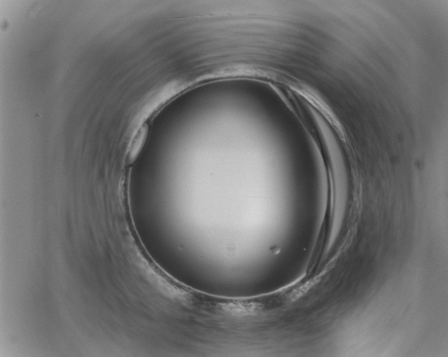 X0000063480805200601231345