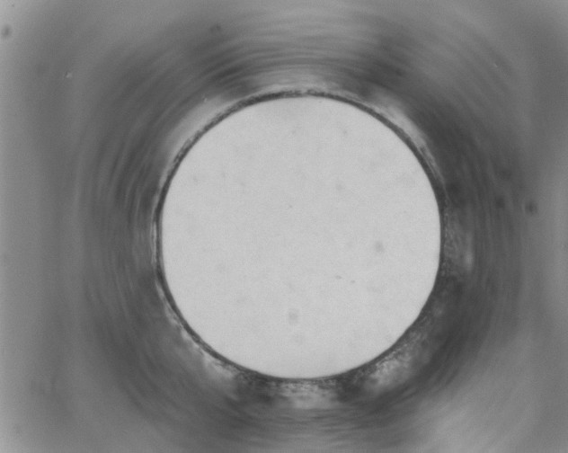 X0000063480807200601231345