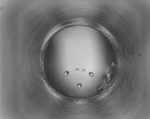 X0000063480808200601231345