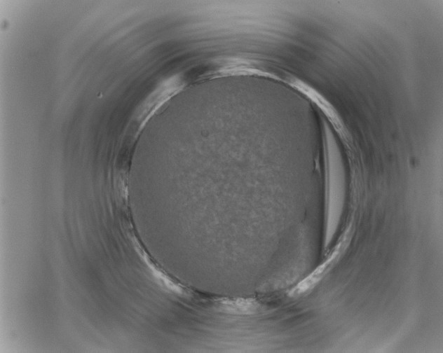 X0000063480809200601231345