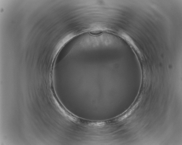 X0000063480810200601231345