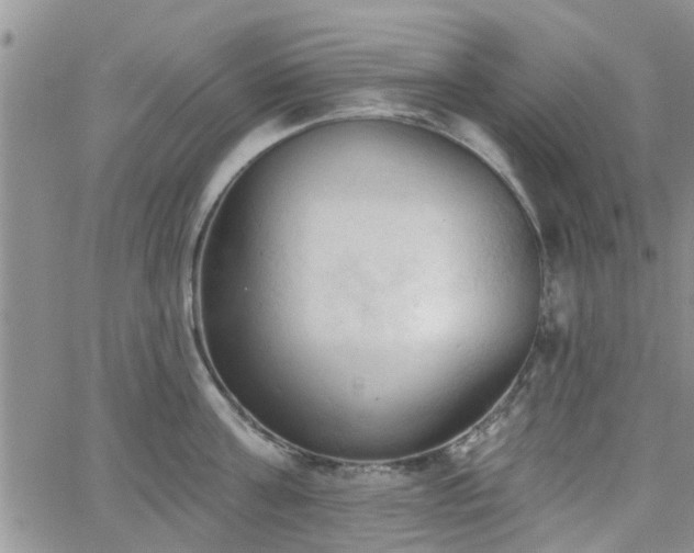 X0000063480811200601231345