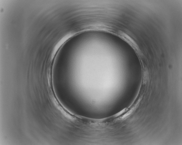 X0000063480812200601231345