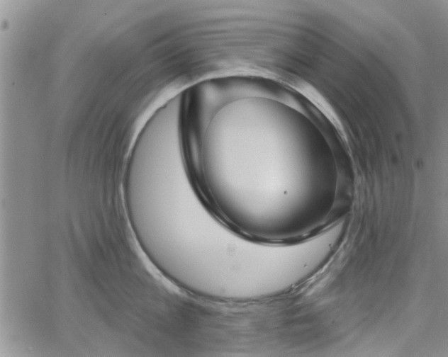 X0000063480813200601231345