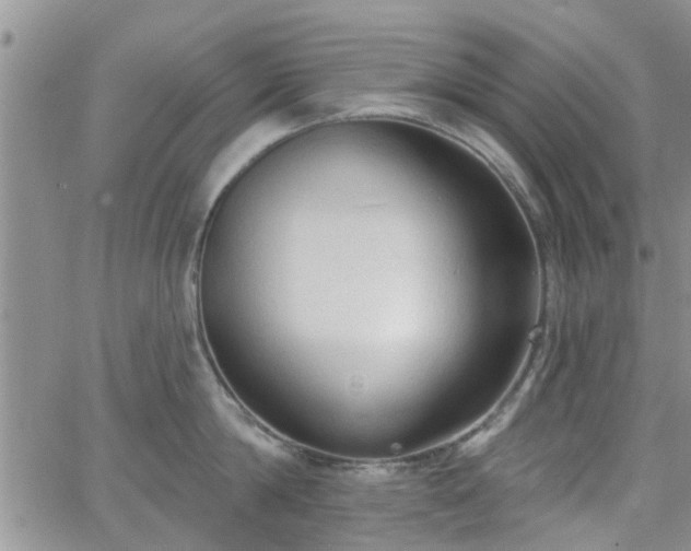 X0000063480814200601231345