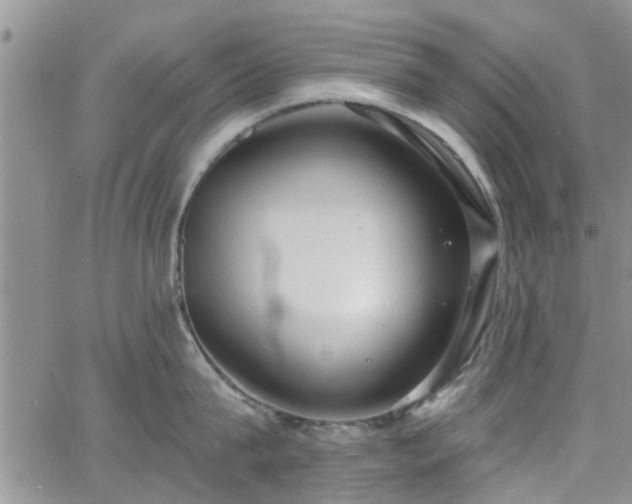 X0000063480815200601231345