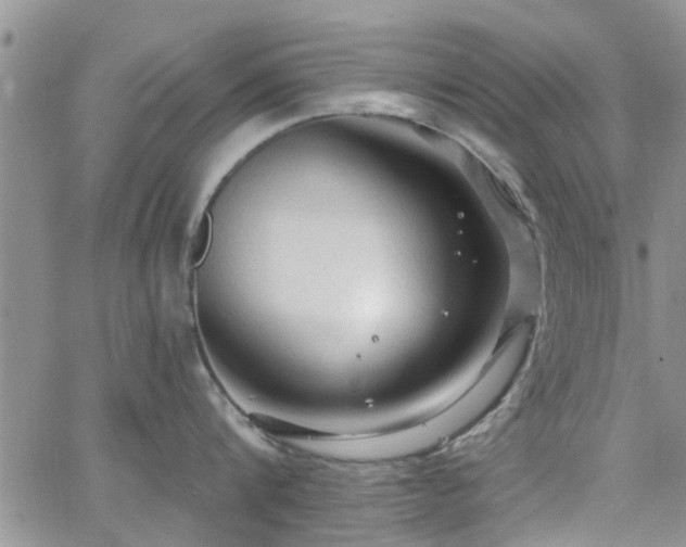 X0000063480816200601231345