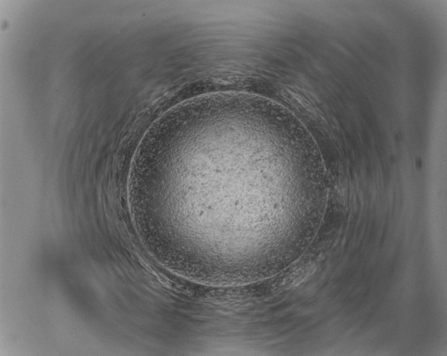 X0000063480817200601231344