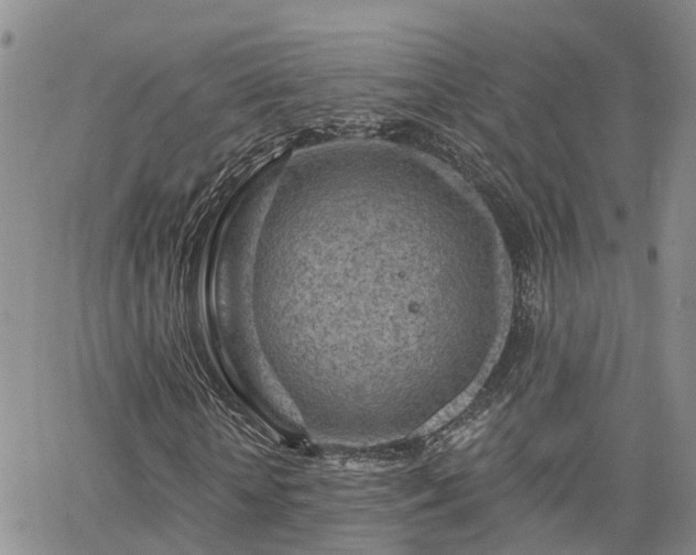 X0000063480818200601231344