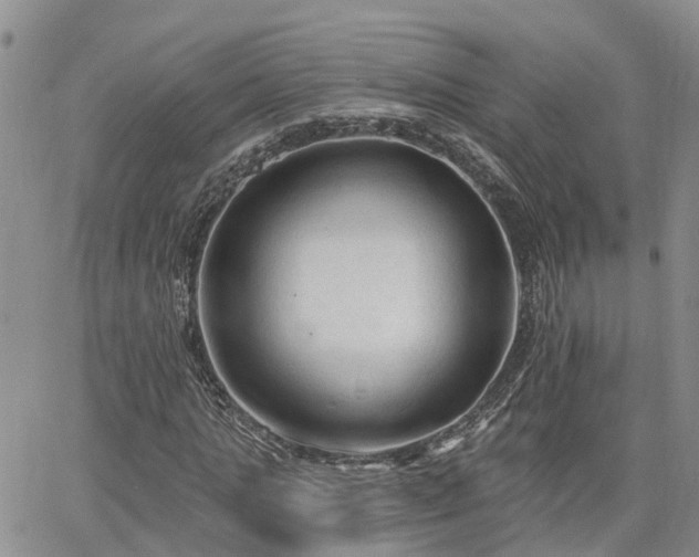 X0000063480821200601231344