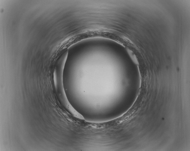 X0000063480822200601231344