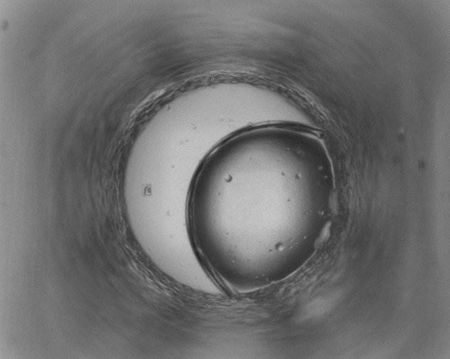 X0000063480824200601231344