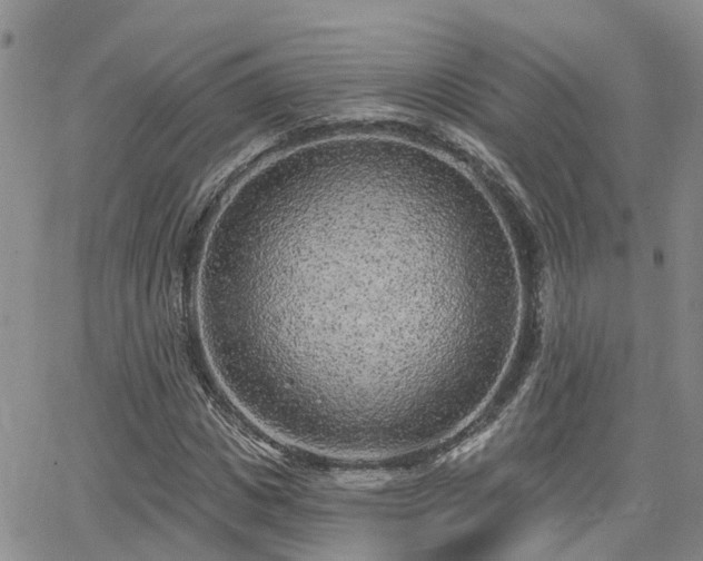 X0000063480825200601231344